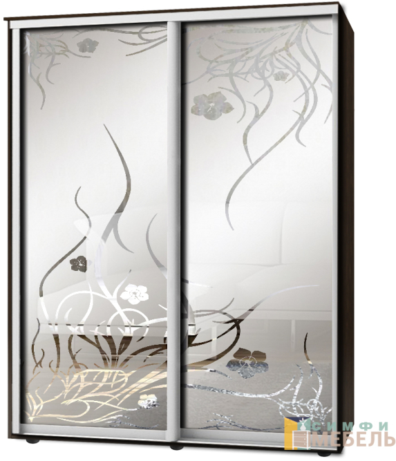 Шкаф-купе 2х дв Стандарт Пескоструй фон матовый № 99