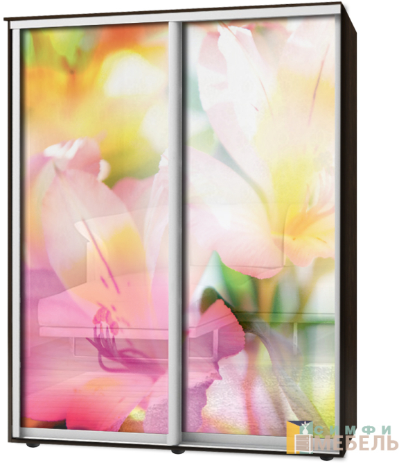 Шкаф-купе 2х дв Стандарт Фотопечать № 90