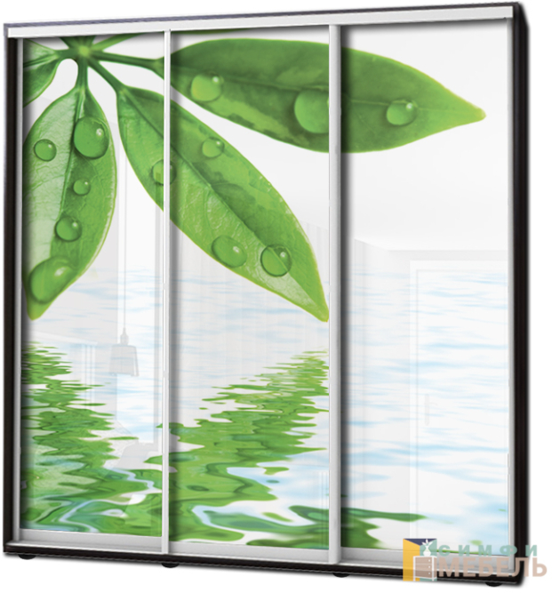 Шкаф купе 3х дв Фотопечать № 61