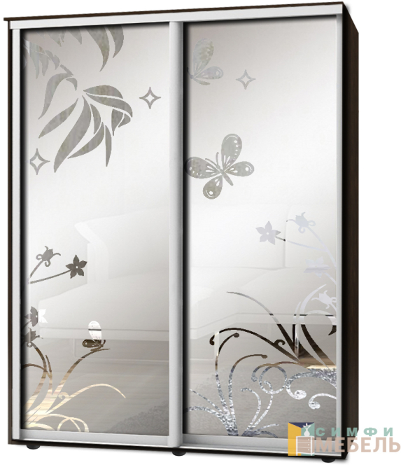 Шкаф-купе 2х дв Стандарт Пескоструй фон матовый № 100