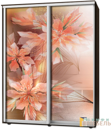 Шкаф-купе 2х дв Стандарт Фотопечать № 91