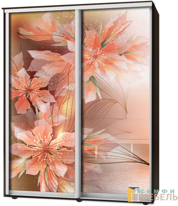 Шкаф-купе 2х дв Стандарт Фотопечать № 91