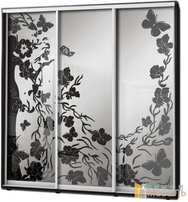 Шкаф купе 3х дв Пескоструй фон матовый № 10