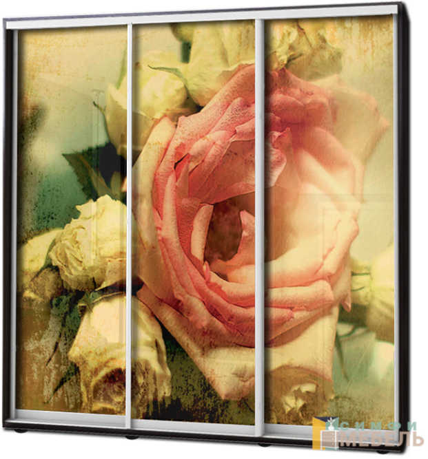 Шкаф купе 3х дв Фотопечать № 62