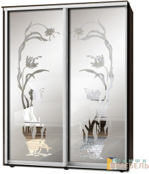 Шкаф-купе 2х дв Стандарт Пескоструй фон матовый № 1