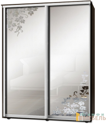 Шкаф-купе 2х дв Стандарт Пескоструй фон матовый № 101