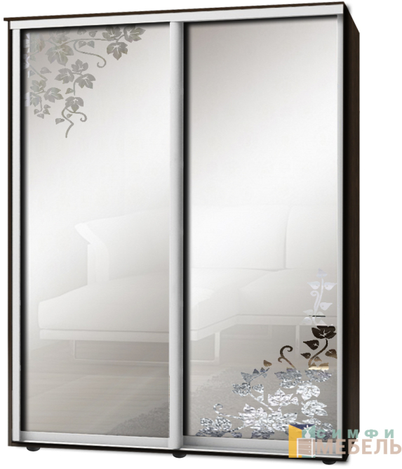 Шкаф-купе 2х дв Стандарт Пескоструй фон матовый № 101