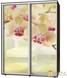 Шкаф-купе 2х дв Стандарт Фотопечать № 92