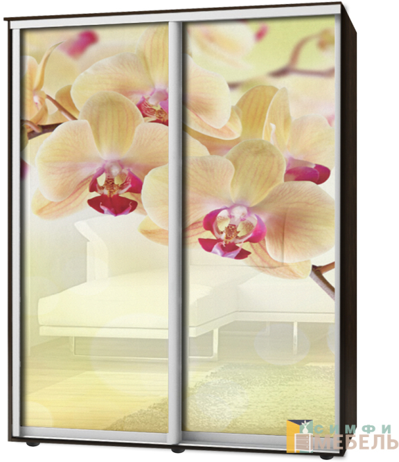 Шкаф-купе 2х дв Стандарт Фотопечать № 92