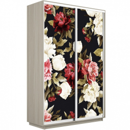 Шкаф-купе Экспресс 2-х дверный (Фото №1020 Пионы)