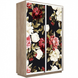 Шкаф-купе Экспресс 2-х дверный (Фото №1020 Пионы)