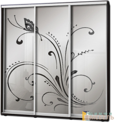 Шкаф купе 3х дв Пескоструй фон матовый № 11