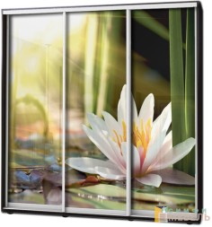 Шкаф купе 3х дв Фотопечать № 63