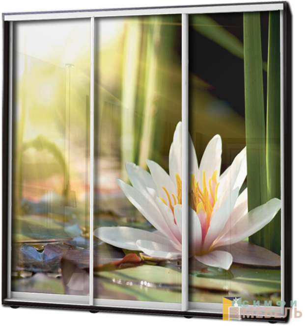 Шкаф купе 3х дв Фотопечать № 63