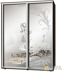 Шкаф-купе 2х дв Стандарт Пескоструй фон матовый № 2