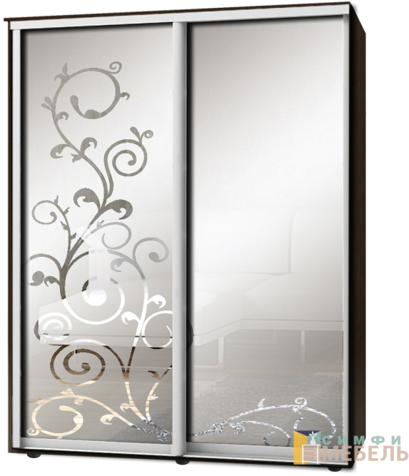 Шкаф-купе 2х дв Стандарт Пескоструй фон матовый № 102