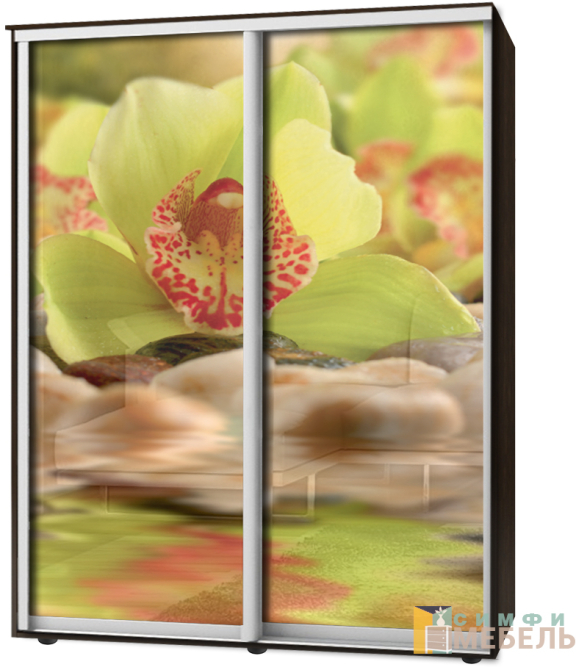 Шкаф-купе 2х дв Стандарт Фотопечать № 93