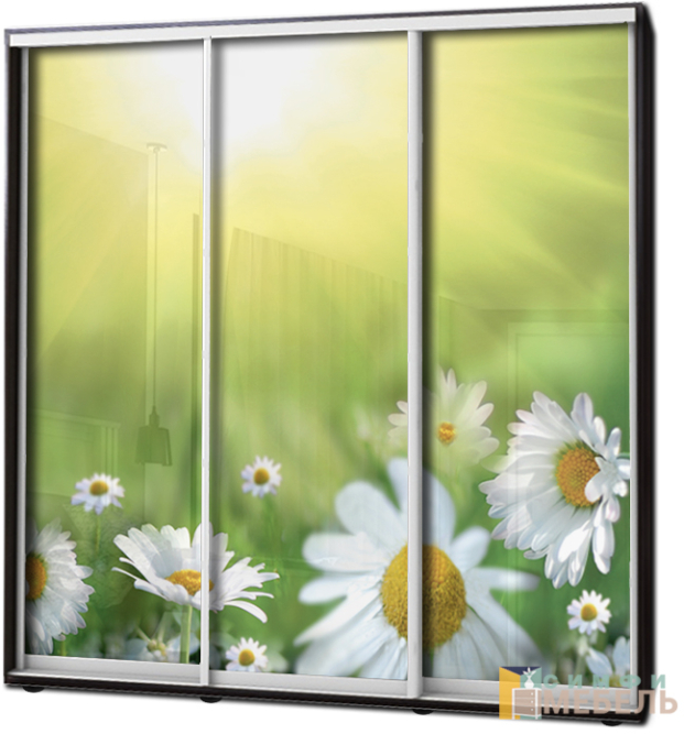 Шкаф купе 3х дв Фотопечать № 64