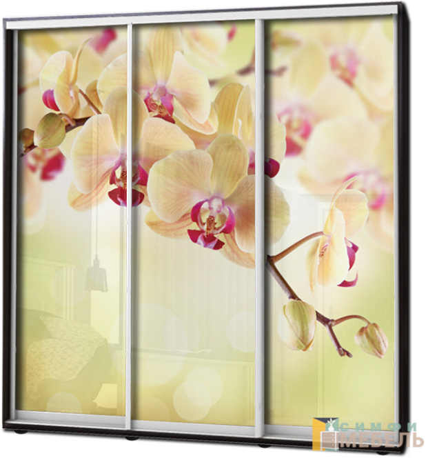 Шкаф купе 3х дв Фотопечать № 65