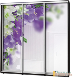 Шкаф купе 3х дв Фотопечать № 66