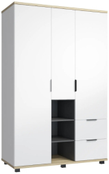 Шкаф комбинированный Скайлайт СЛ-3К блэквуд ячменный/графит/белый/меренга