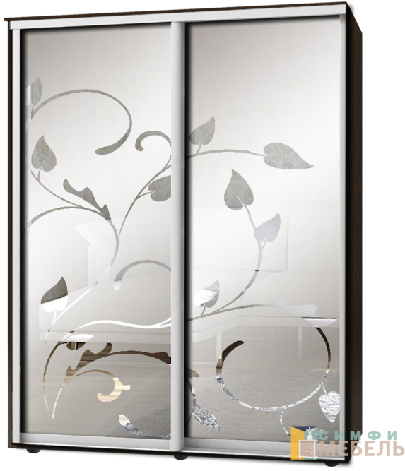 Шкаф-купе 2х дв Стандарт Пескоструй фон матовый № 105