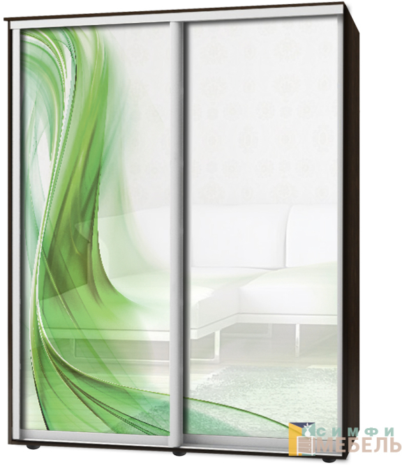 Шкаф-купе 2х дв Стандарт Фотопечать № 96