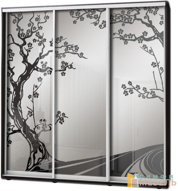 Шкаф купе 3х дв Пескоструй фон матовый № 15