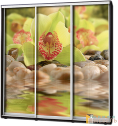 Шкаф купе 3х дв Фотопечать № 67