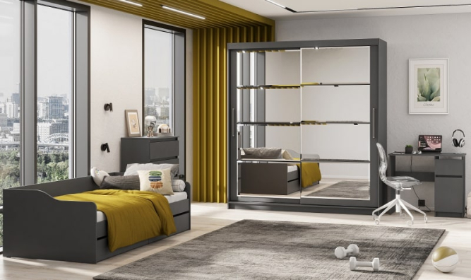 Шкаф-купе ШКП 3 Макс (2000)