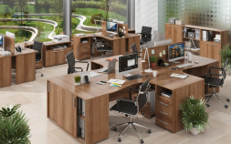 Комплект офисной мебели Канцлер №2