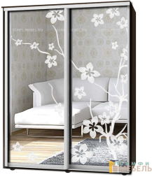 Шкаф-купе 2х дв Стандарт Пескоструй № 70