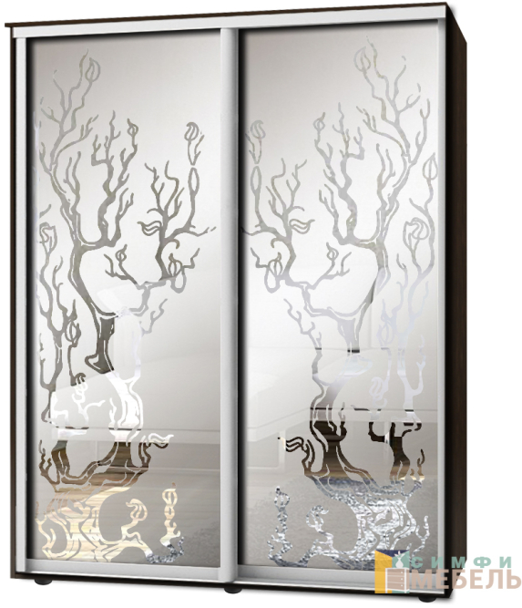 Шкаф-купе 2х дв Стандарт Пескоструй фон матовый № 6