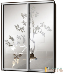 Шкаф-купе 2х дв Стандарт Пескоструй фон матовый № 106