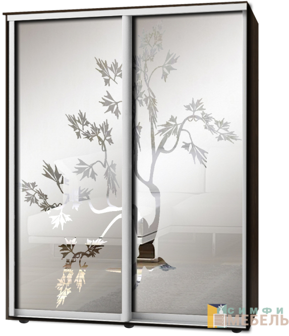 Шкаф-купе 2х дв Стандарт Пескоструй фон матовый № 106