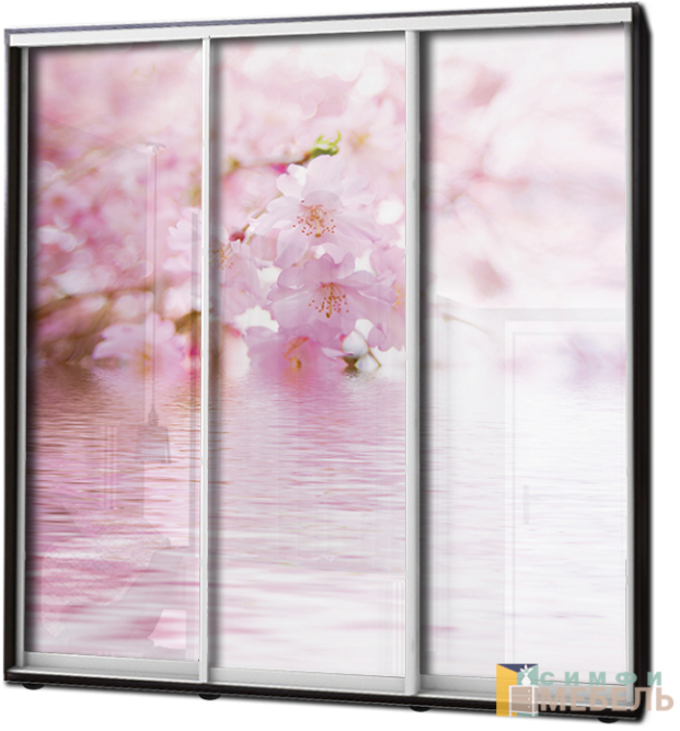 Шкаф купе 3х дв Фотопечать № 68