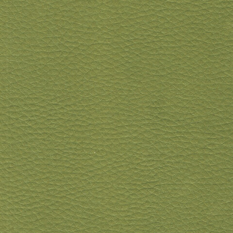 Пуф "Хост" М-43, 620х620х450 мм, экокожа, светло-зеленый