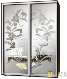 Шкаф-купе 2х дв Стандарт Пескоструй фон матовый № 7