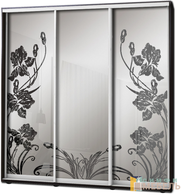 Шкаф купе 3х дв Пескоструй фон матовый № 17