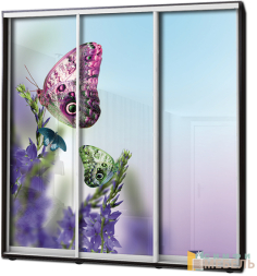 Шкаф купе 3х дв Фотопечать № 69