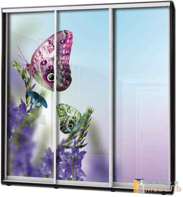 Шкаф купе 3х дв Фотопечать № 69