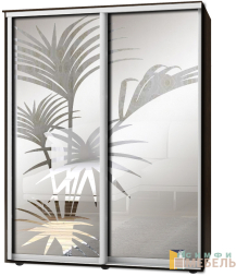 Шкаф-купе 2х дв Стандарт Пескоструй фон матовый № 8