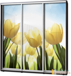 Шкаф купе 3х дв Фотопечать № 70