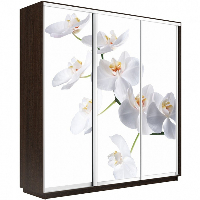 Шкаф-купе Экспресс 3-х дверный (Фото №1025 Орхидея белая)
