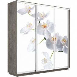 Шкаф-купе Экспресс 3-х дверный (Фото №1025 Орхидея белая)