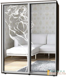 Шкаф-купе 2х дв Стандарт Пескоструй № 72