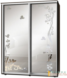 Шкаф-купе 2х дв Стандарт Пескоструй фон матовый № 9