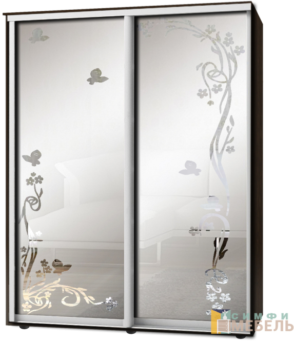 Шкаф-купе 2х дв Стандарт Пескоструй фон матовый № 9