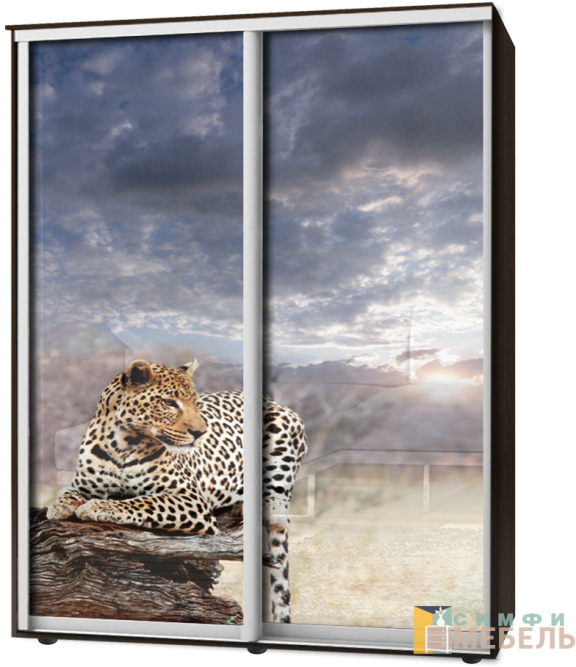 Шкаф-купе 2х дв Стандарт Фотопечать № 100