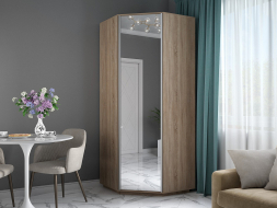 Шкаф-купе Экспресс Угловой ( Зеркало) Сонома